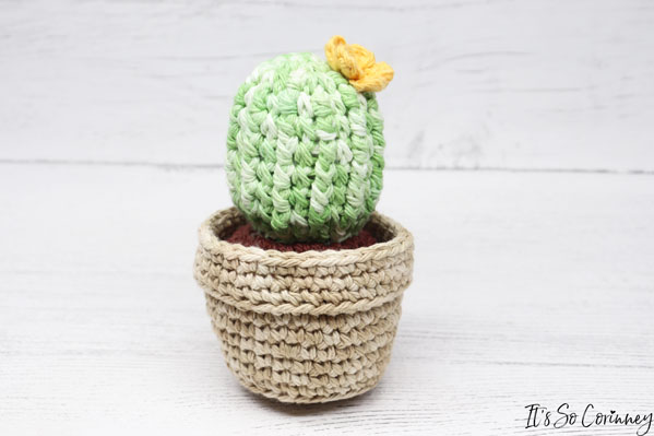 Completed Crochet Potted Cactus Amigurumi