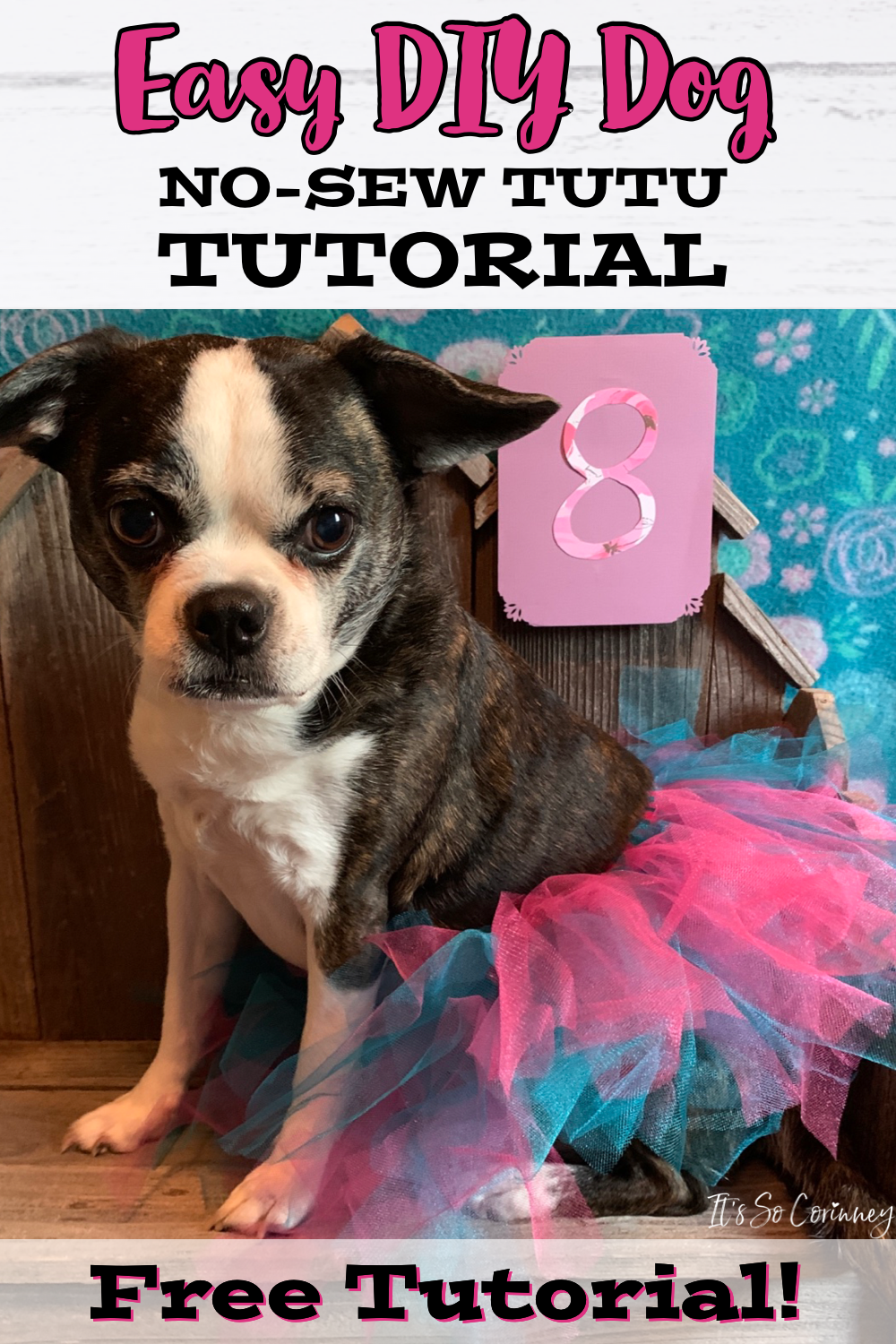 Easy DIY Dog No-Sew Tutu Tutorial
