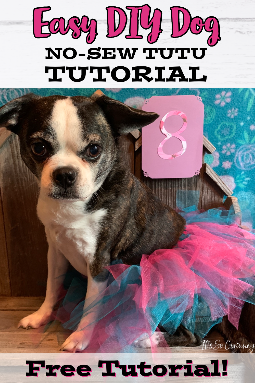 Easy DIY Dog Tutu Free Tutorial - It's So Corinney