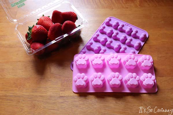 Ingredients for Easy Strawberry Homemade Frozen Dog Treats