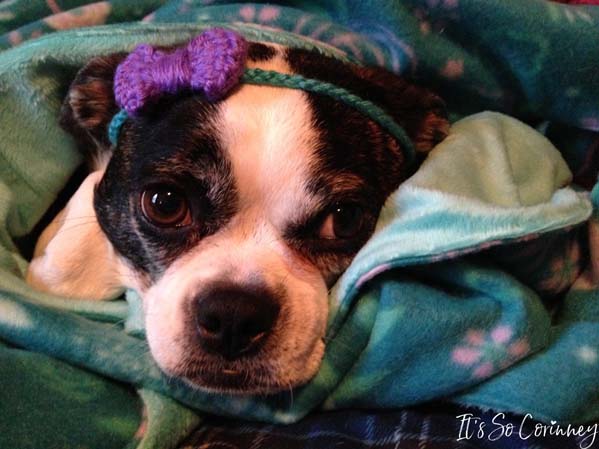 Molly Wearing Easy Crochet Bow On Headband