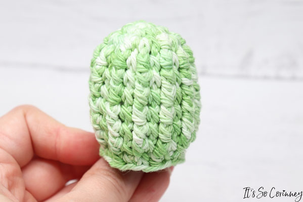 Round 10 Last Round For Crochet Potted Cactus