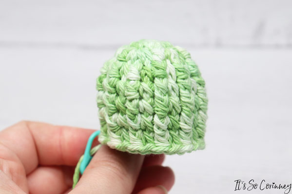 Round 8 Of Crochet Cactus