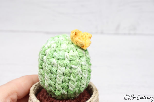 Sew The Cute Flower Onto Cactus