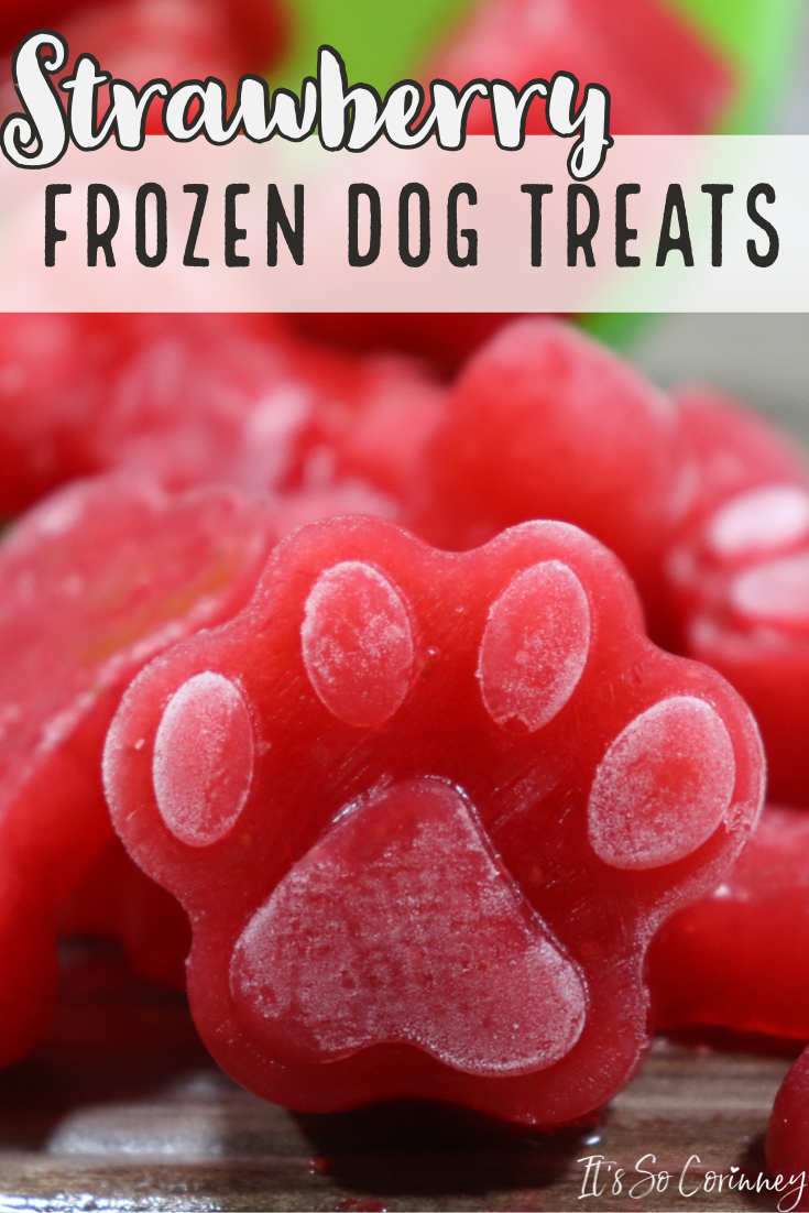 Strawberry Pupsicles Homemade Frozen Dog Treats